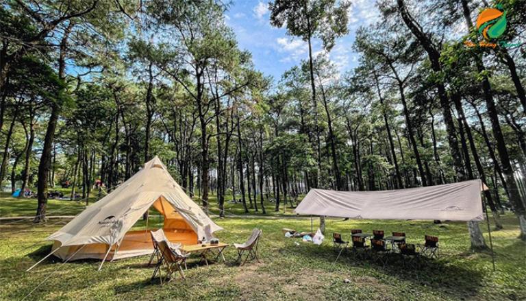 Camping is a great choice for anyone who want to totally immerse themselves in nature. 