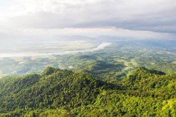 Ba Vi National Park is a hidden treasure that is just a short drive from the busy city of Hanoi.