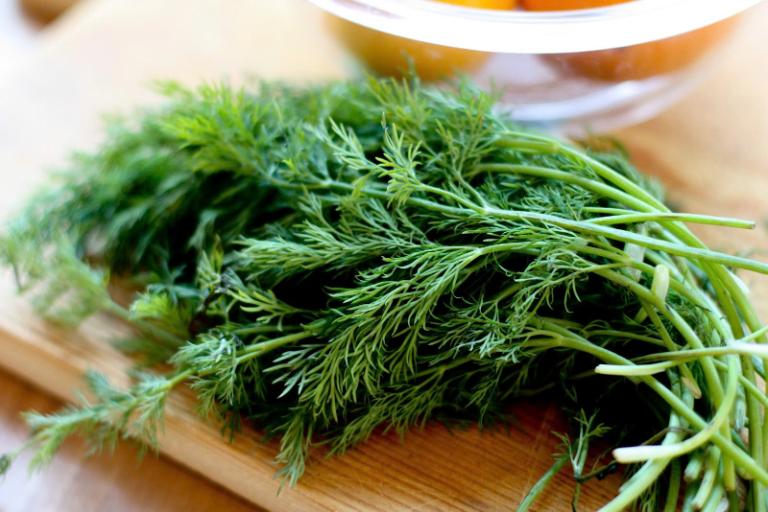 Fresh Dill – A Rare Addition in Asian Cuisine