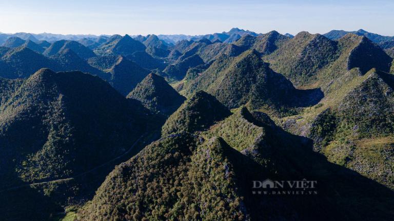 The plateau's unique geological formations and climate have created a habitat for a variety of plant and animal species