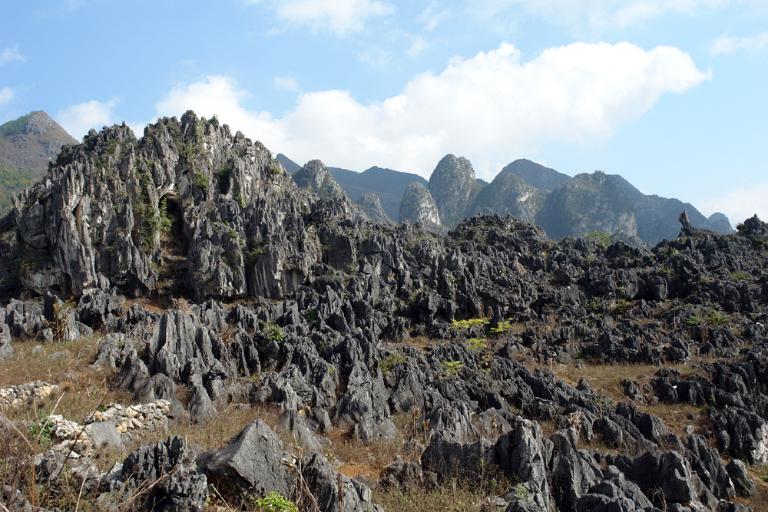 The most iconic features of the plateau are the tower karsts, towering limestone peaks that resemble ancient sentinels guarding the landscape. 