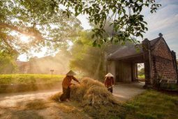 Duong Lam Ancient Village in Hanoi is one of Vietnam's oldest and most historically significant villages.