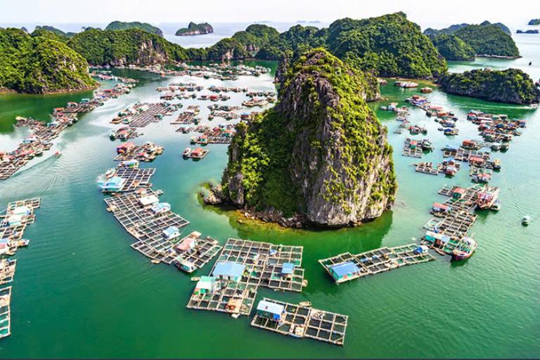 Ha Long Bay 