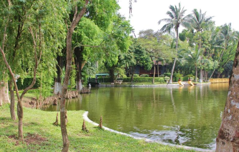 When President Ho moved into the stilt house in 1958, he transformed the nearby muddy pond into a fish pond.