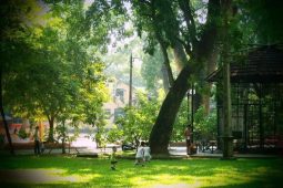 Thu Le Park is adorned with an abundance of trees, shrubs, and flowers