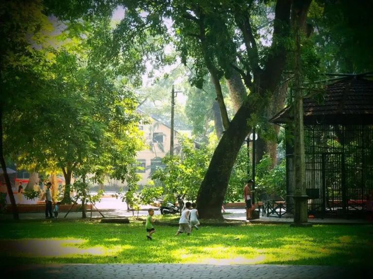 Thu Le Park is adorned with an abundance of trees, shrubs, and flowers