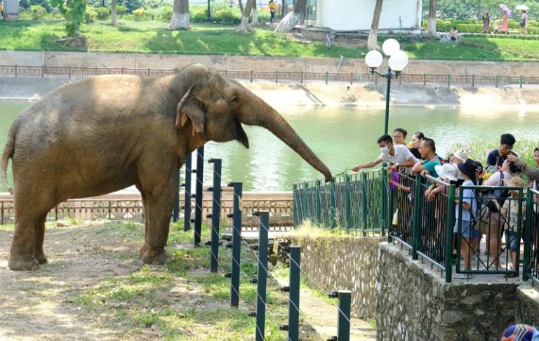 The best time to visit Thu Le Park is during the early morning or late afternoon