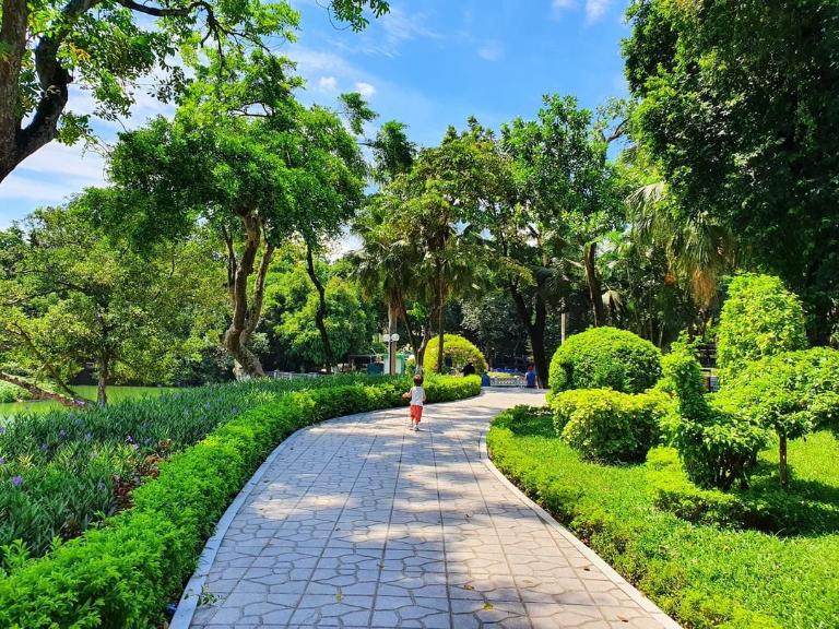 The paths are lined with trees that provide ample shade, making your workout more comfortable