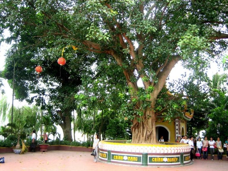 Tran Quoc Pagoda