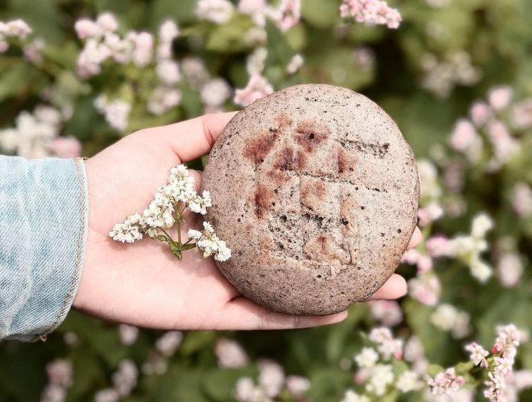 Buckwheat Flower Festival