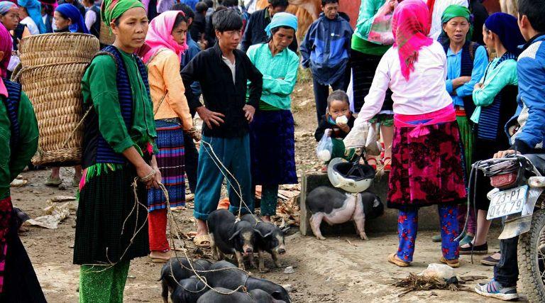 Cap nach Pork in Ha Giang