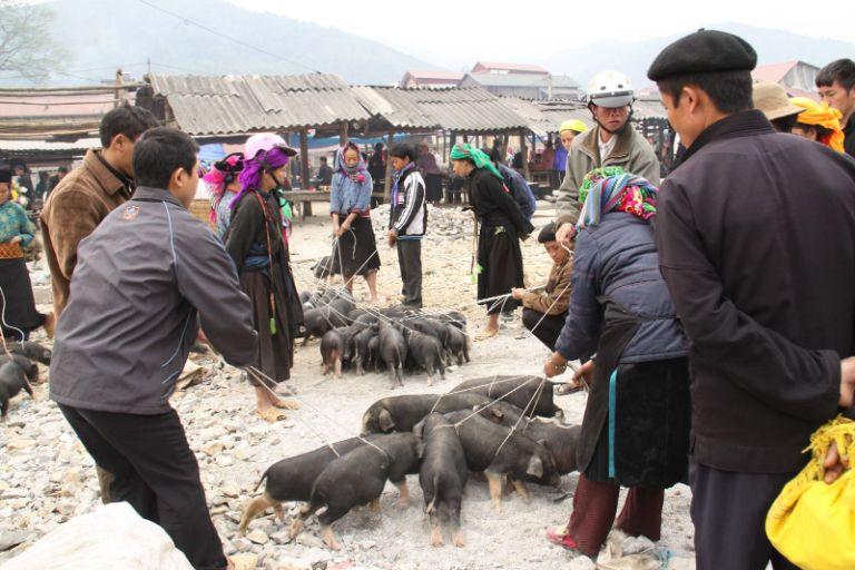 Cap nach Pork in Ha Giang