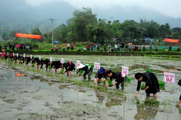 Festivals in Ha Giang