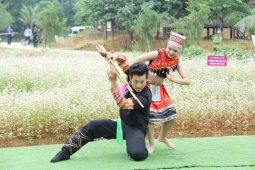 Festivals in Ha Giang