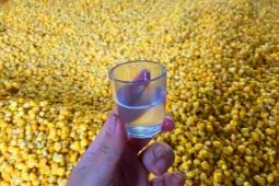 Ha Giang Corn Wine