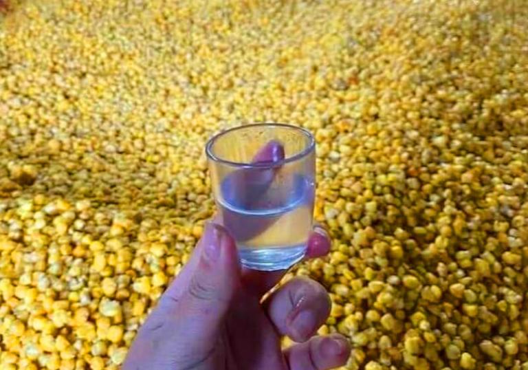 Ha Giang Corn Wine