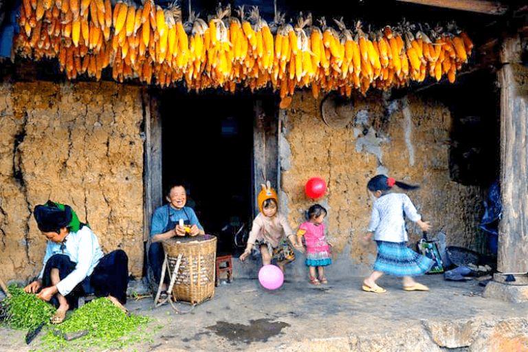 Ha Giang Corn Wine