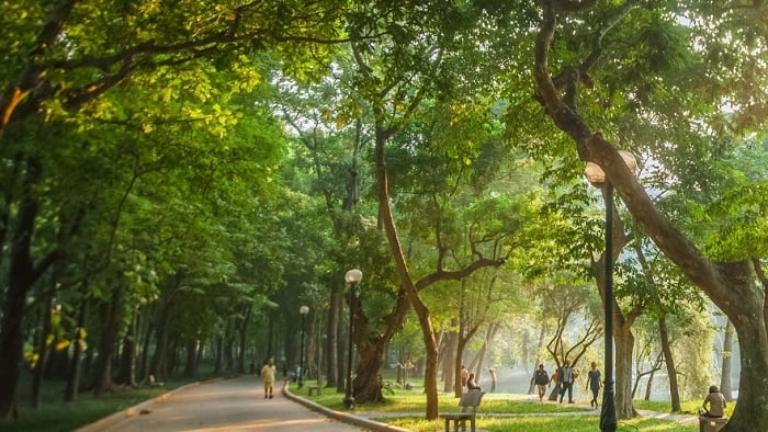 The main entrance is flanked by majestic trees, setting the tone for the verdant experience ahead.