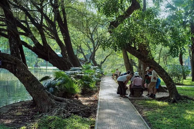 The Botanical Gardens of Hanoi are a popular destination for joggers and walkers due to its shaded paths and fresh air.