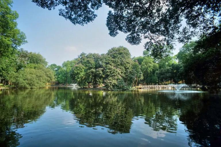 Their lush landscapes, diverse plant species, and tranquil atmosphere make them an essential part of Hanoi's urban charm