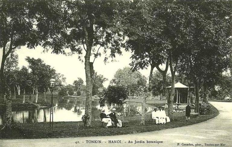 Established in the late 19th century during French colonial rule, the Hanoi Botanical Gardens are among the oldest green spaces in the city.