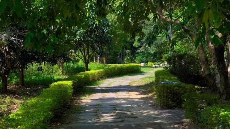 Botanical Gardens of Hanoi offer a variety of paths to explore. 