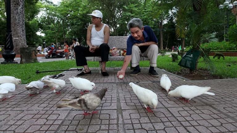 Hanoi Botanical Gardens give a retreat for several kinds of creatures, especially catcalls.