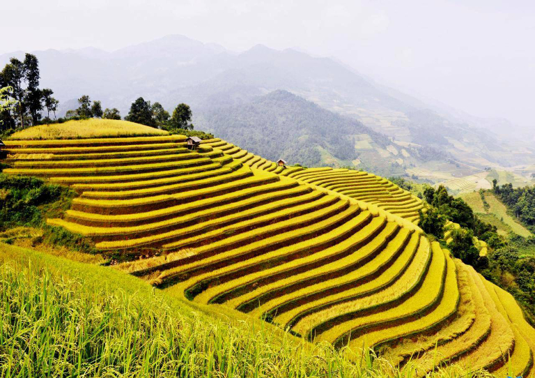 Hanoi - Lao Cai - Hoang Su Phi Route