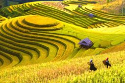 Hanoi - Lao Cai - Hoang Su Phi Route