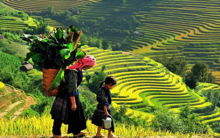 Hanoi – Nghia Lo – Mu Cang Chai Route