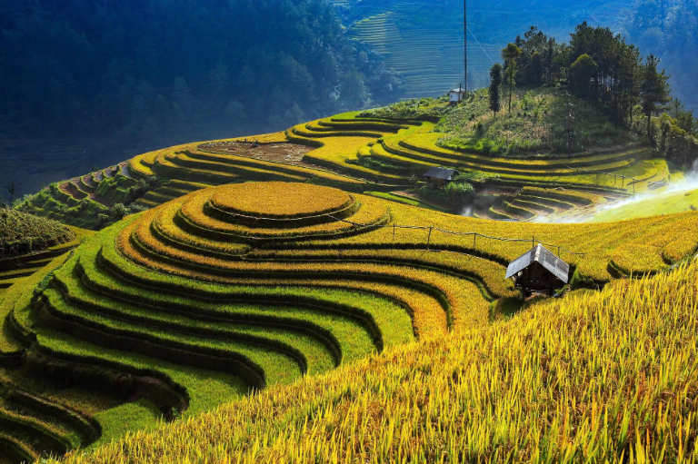 Hanoi – Nghia Lo – Mu Cang Chai Route