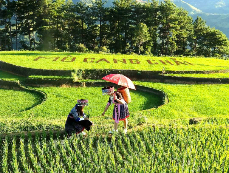 Hanoi – Nghia Lo – Mu Cang Chai Route