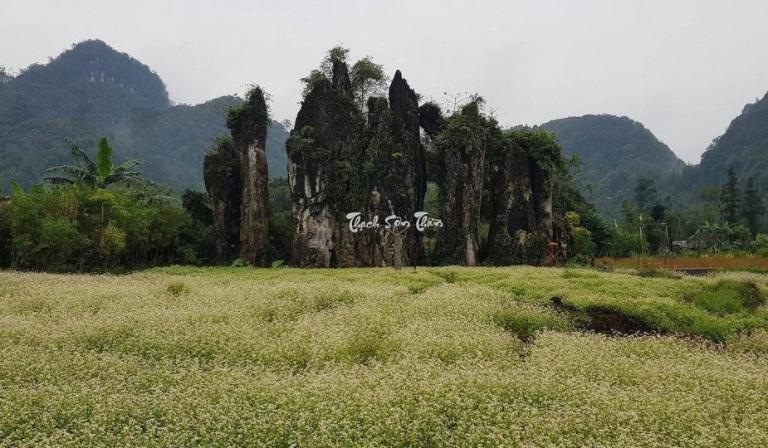 Hidden Gems in Ha Giang