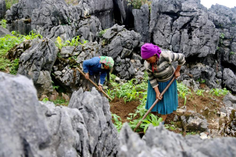 Hmong People Ethnic Group in Ha Giang