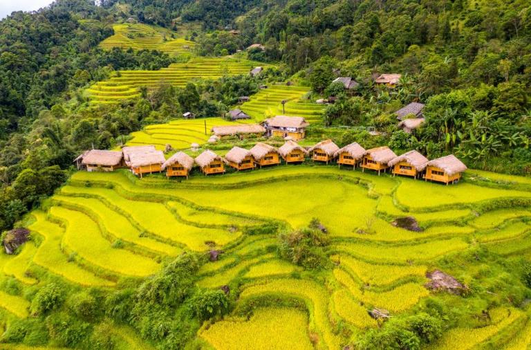 Hoang Su Phi Lodge is one of the top accommodations in Hoang Su Phi, known for its outstanding service and excellent amenities.