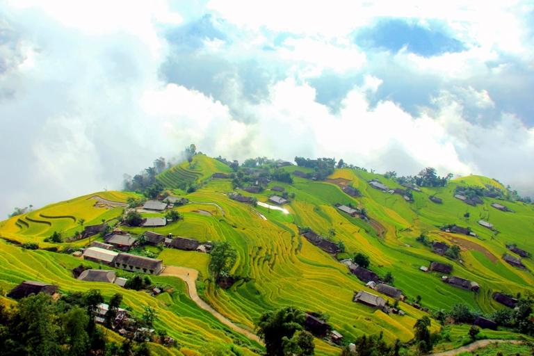 Hoang Su Phi Rice Terraces