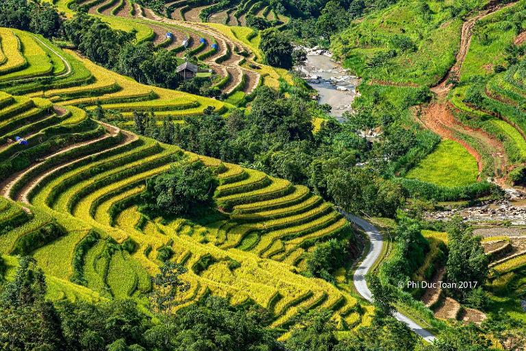 Hoang Su Phi Rice Terraces