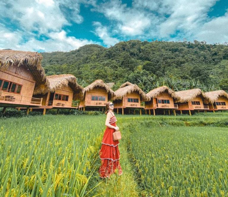 Hoang Su Phi Rice Terraces