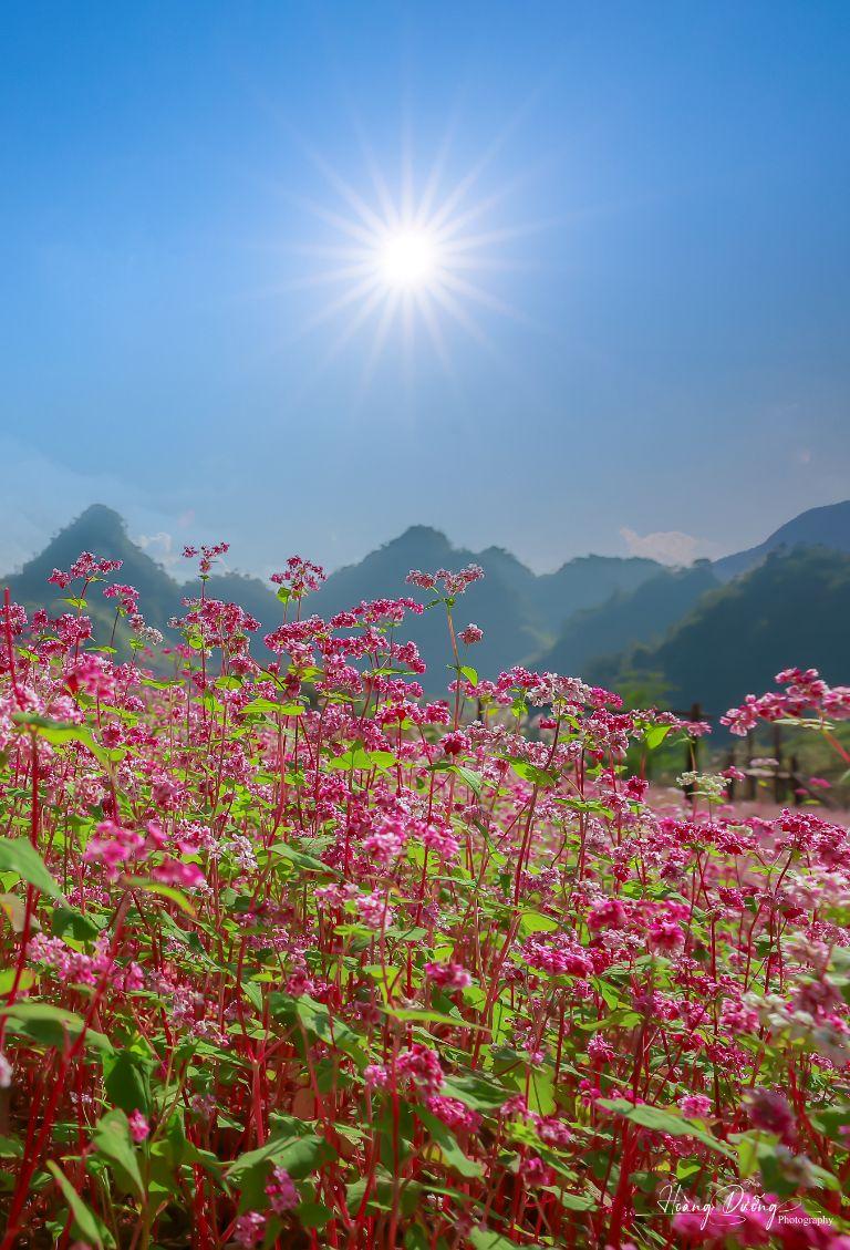 Quan Ba District in Ha Giang