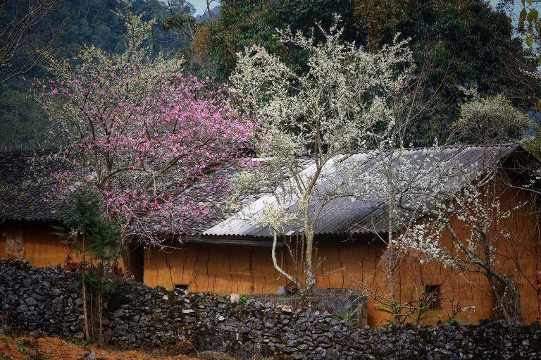 Quan Ba District in Ha Giang