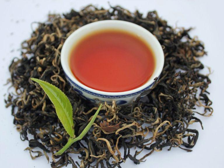 Shan Tuyet Tea in Ha Giang