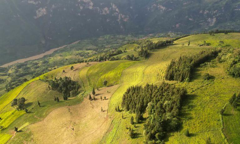 Suoi Thau Grassland