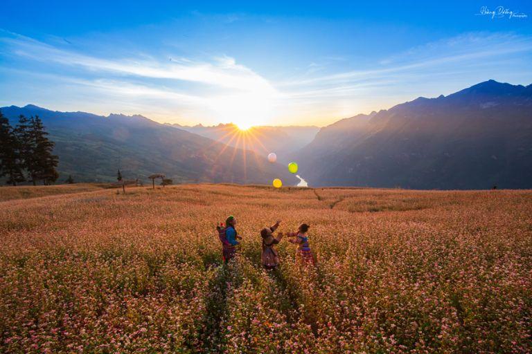 Suoi Thau Grassland