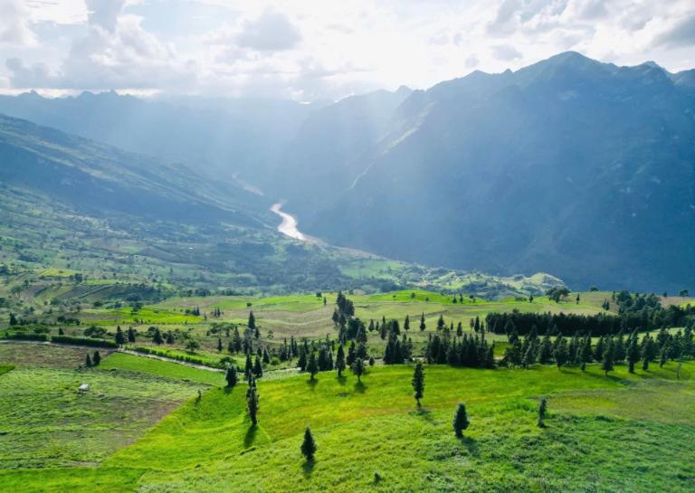 Suoi Thau Grassland