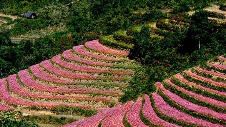 Sung La Valley is affectionately known by many names, including “oasis,” “the valley where stones blossom”