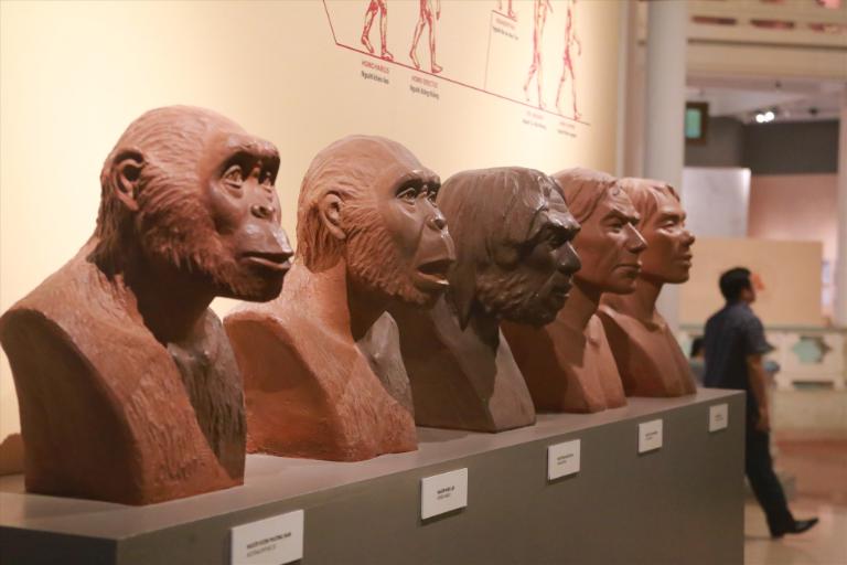 The prehistoric collection highlights artifacts from as early as 500,000 years ago. 