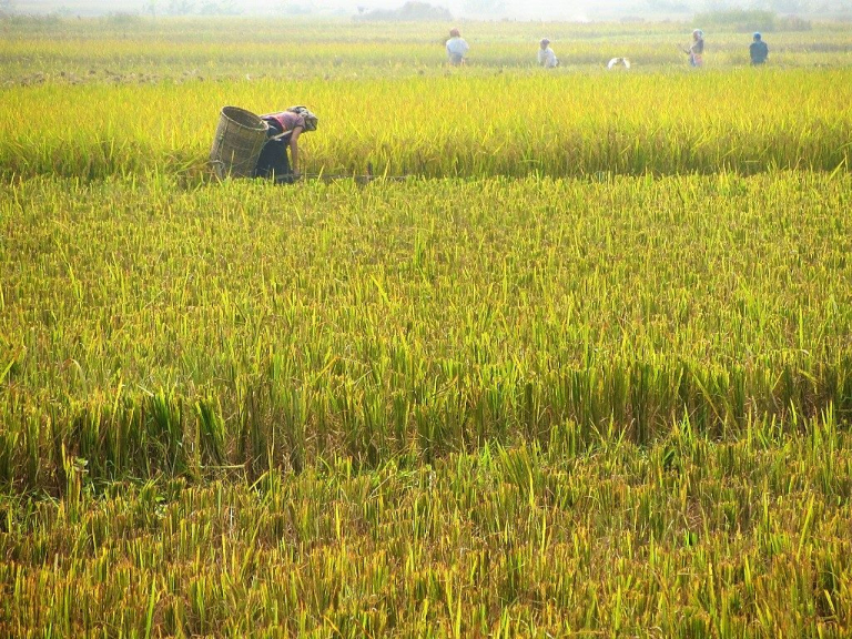 Vietnam’s Limestone Loop