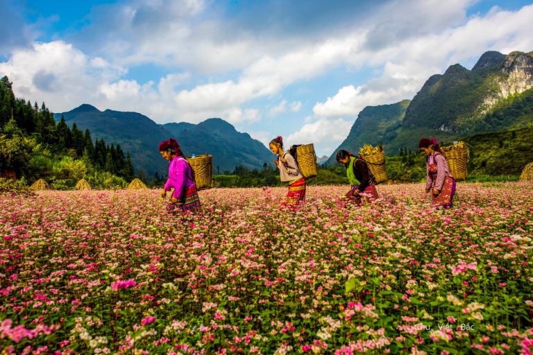 When is the Best Time to Visit Ha Giang