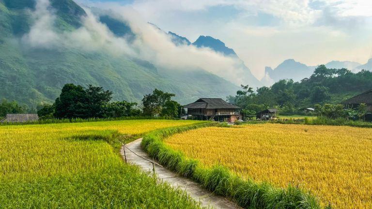 Yen Minh District 