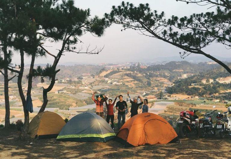 Yen Minh Pine Forest